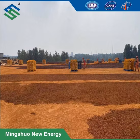 GMP Certificated OEM Multivitamin Mineral Particles